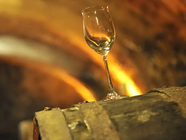 Urlaub auf dem Weingut - Weinfass mit Glas im Weinkeller - © Landsichten.de, Susanne Mölle Urlaub auf dem Weingut - Glas steht im Weinkeller bereit zur Weinprobe