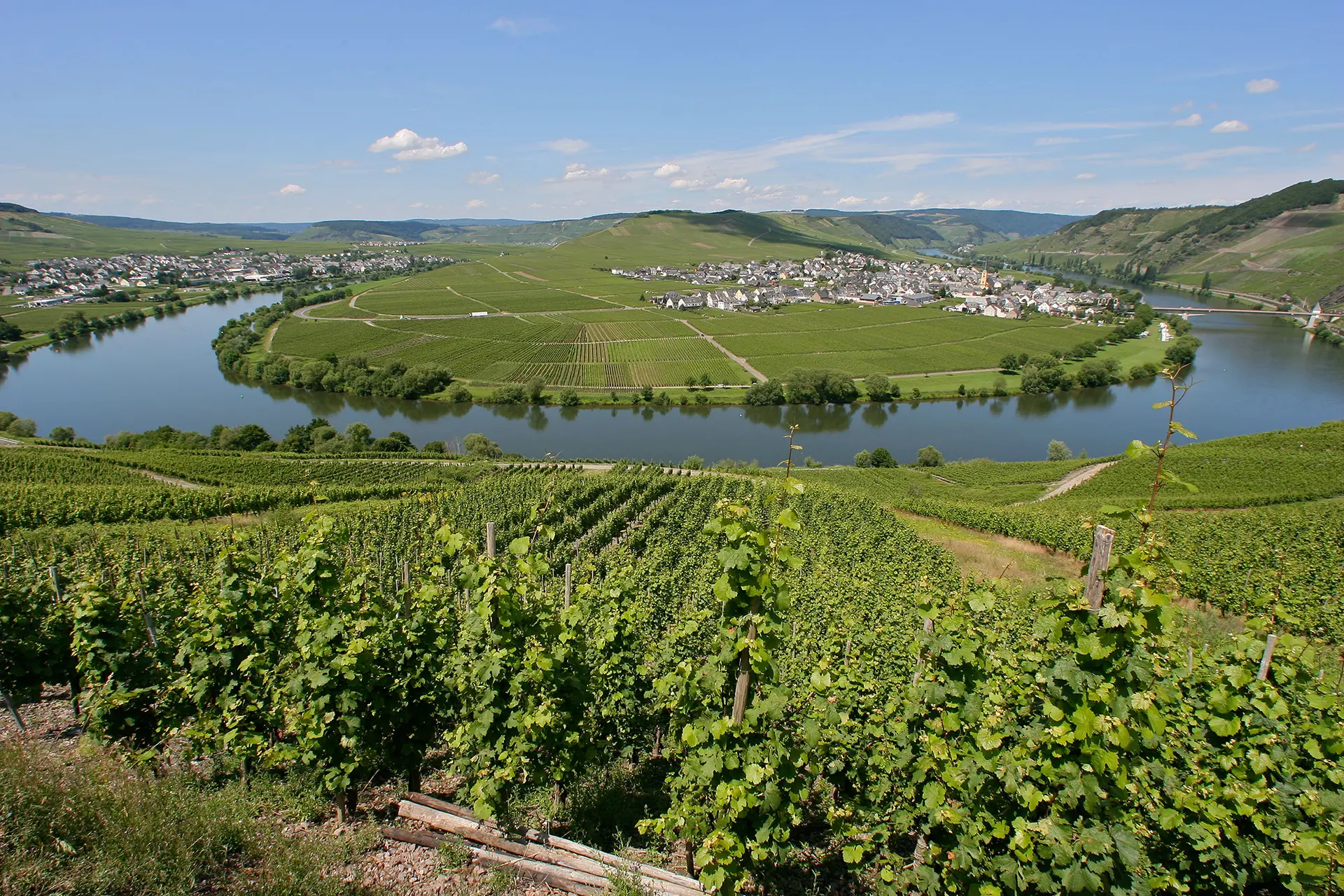 Wo die Natur vor Freude Schleifen schlägt - in der Weinbauregion Mosel mit romantischen Urlaubsweingütern