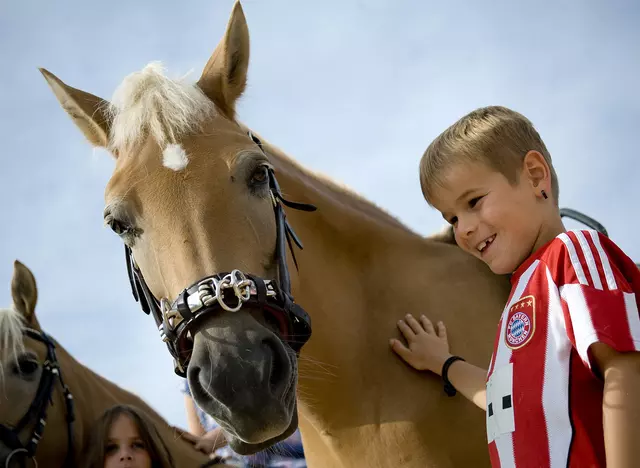 im Urlaub mit Kindern auf dem Reiterhof den Umgang mit Pferden erlernen