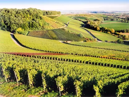 Blick vom Heuchelberg in Kraichgau-Stromberg - © Kraichgau-Stromberg Tourismus e.V.
,