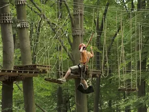 Teambuildingim Hochseilgarten und Seminare auf dem Land