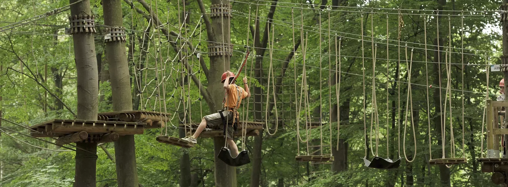 Teambuildingim Hochseilgarten und Seminare auf dem Land