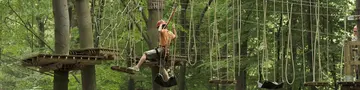 Teambuildingim Hochseilgarten und Seminare auf dem Land