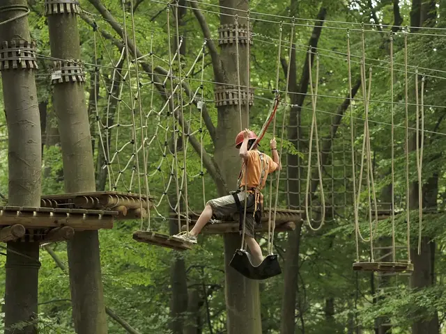Teambuildingim Hochseilgarten und Seminare auf dem Land