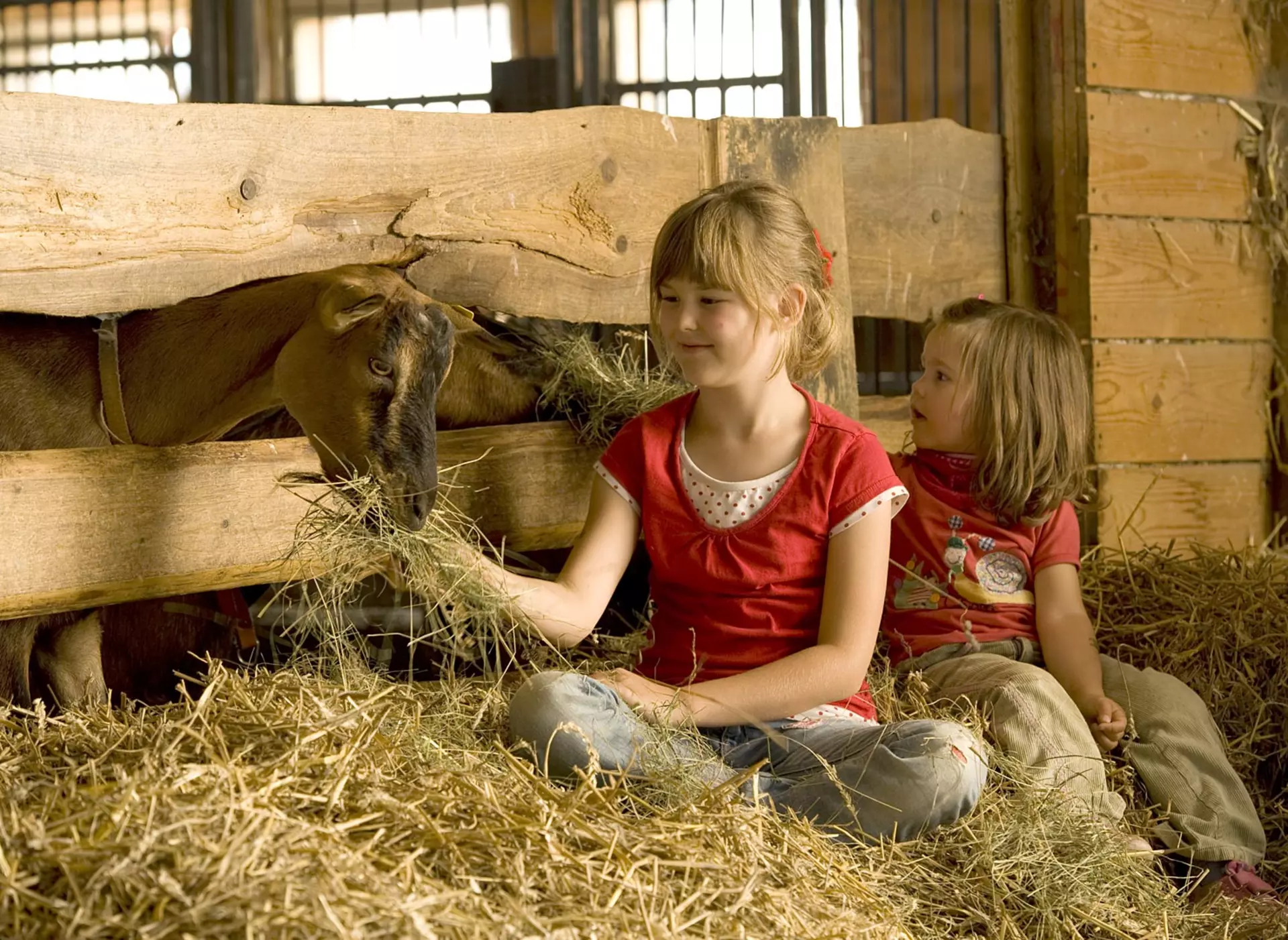 Urlaub auf einem Qualitätsgeprüften Kinderhof um Tiere zu erleben