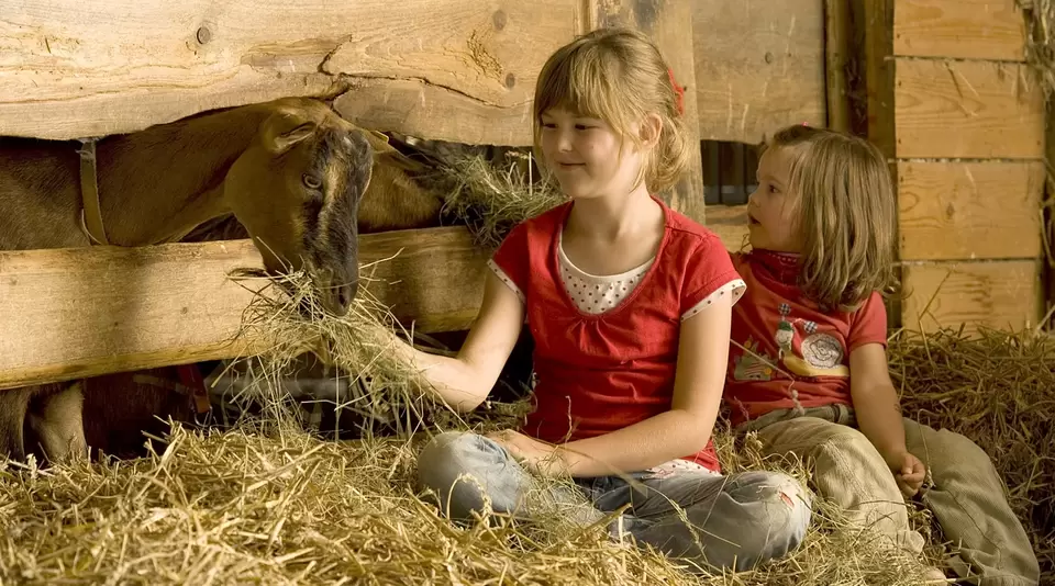 Urlaub mit Kindern auf dem Kinderhof - © Landsichten.de, Susanne Mölle Urlaub auf einem Qualitätsgeprüften Kinderhof um Tiere zu erleben