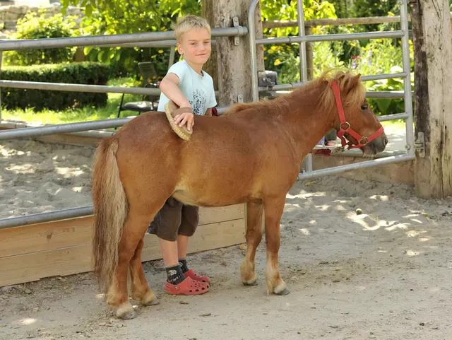 im Urlaub auf dem Reiterhof helfen Kinder bei der Pferdepflege
