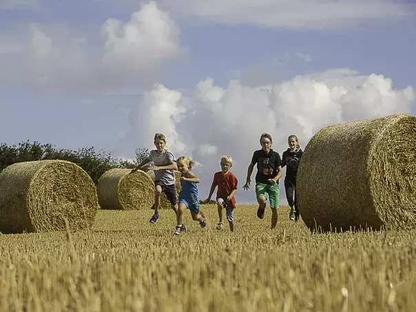Kinder toben bei der Strohernte bei ihrem Urlaub auf dem Bauernhof in Schleswig-Holstein.