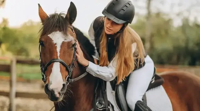 Frau mit langen Haaren sitzt in Reiteranziehsachen auf braunem Pferd und streichelt es am Hals. 