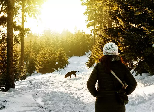 Urlaub mit Hund in Thüringen und im verschneiten Wald spazieren gehen