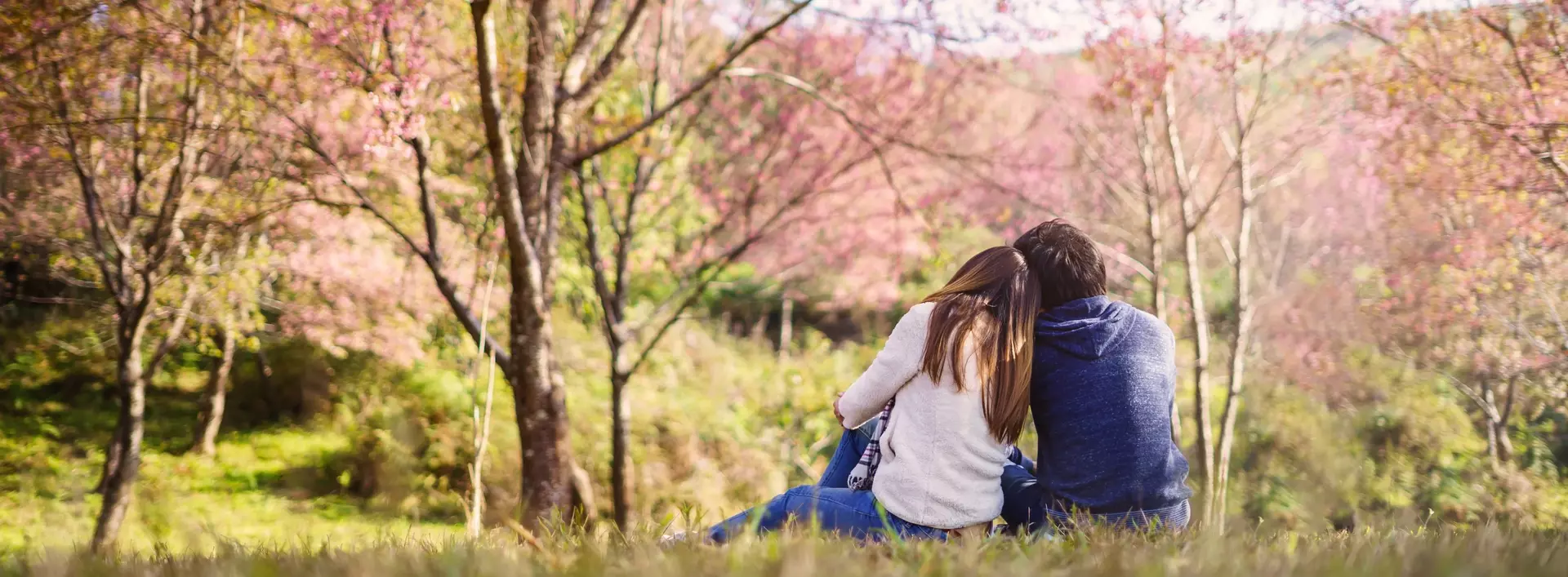 Ein junges Paar sitzt im Park auf der Wiese unter rosa blühenden Kirschbäumen