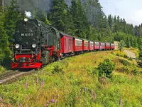 Die Fahrt mit der Harzquerbahn auf den Brocken ist ein besonderes Erlebnis bei einem Urlaub im Harz in Sachsen-Anhalt.