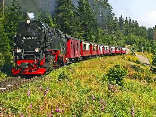 Die Fahrt mit der Harzquerbahn auf den Brocken ist ein besonderes Erlebnis bei einem Urlaub im Harz in Sachsen-Anhalt.