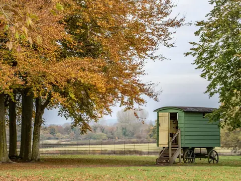 Schäferwagen auf einer Wiese zwischen Bäumen im Herbst