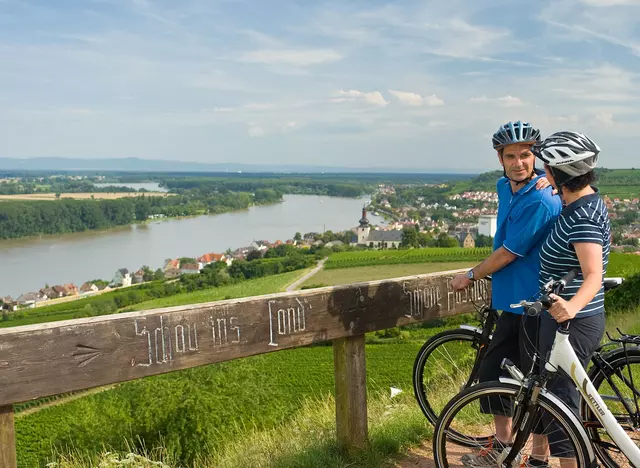 im Urlaub auf dem Weingut in Rheinhessen eine Radtour auf dem Rheinradweg machen