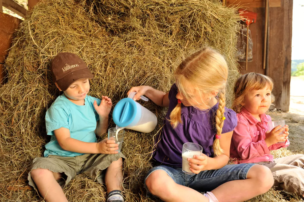 Kinder sitzen in der Scheune und trinken frische Kuhmilch