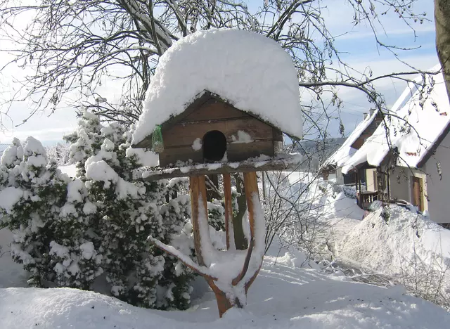 Winterurlaub mit Kindern in Thüringen verbringen