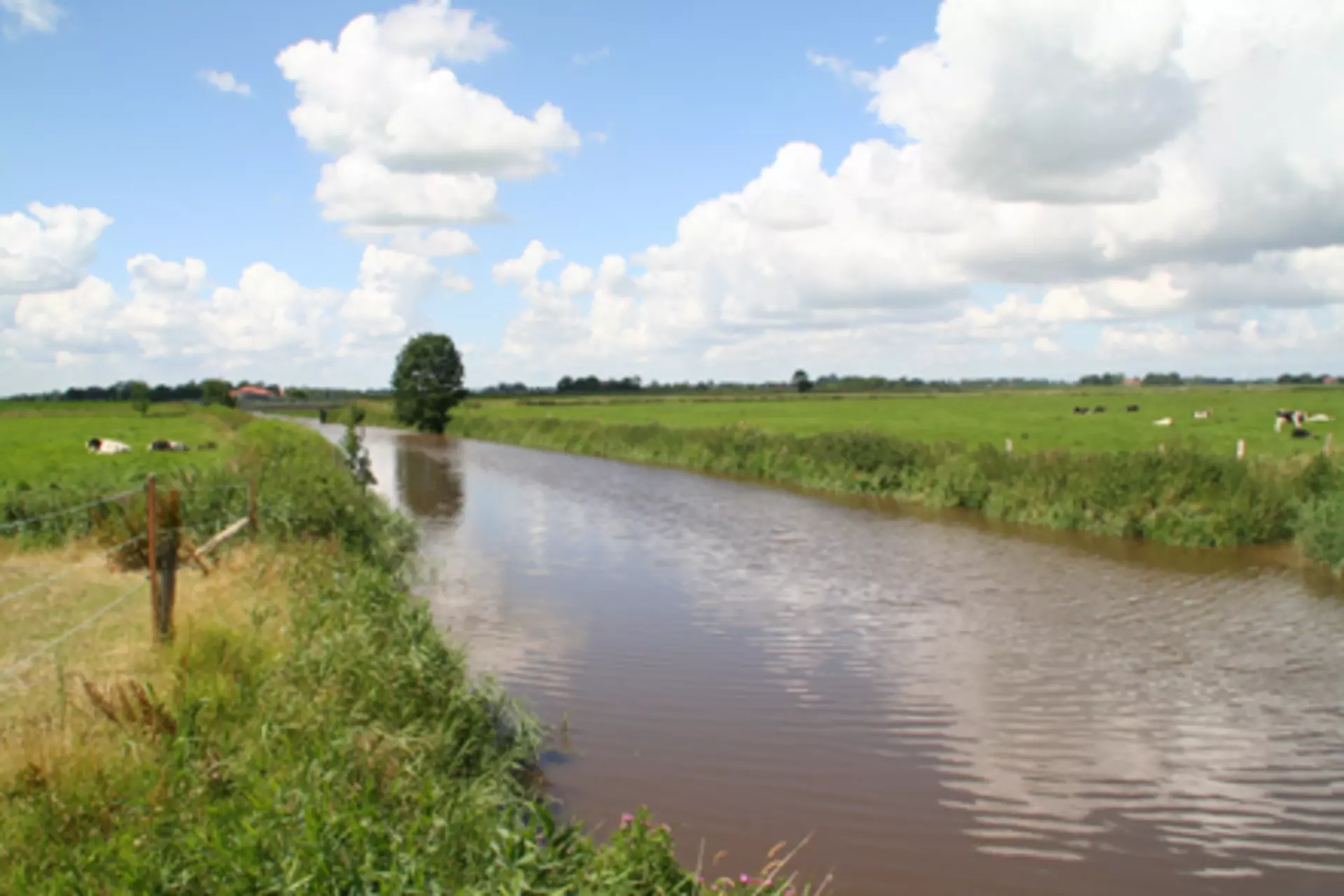 Wangerland