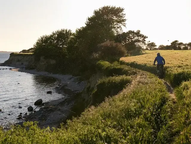 Ein Radfahrer fährt am Feldrand entlang mit Blick auf die Küste von Fehmarn.