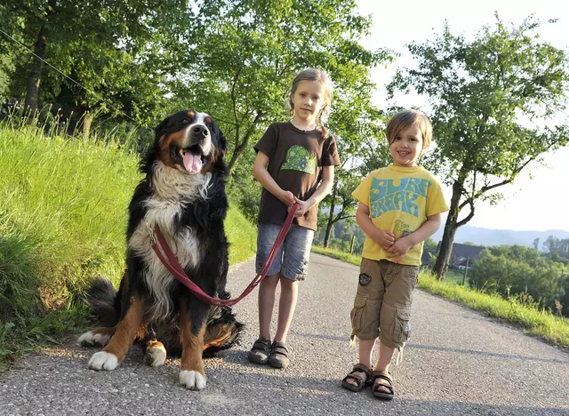 im Familienurlaub im Schwarzwald darf der Hund nicht fehlen