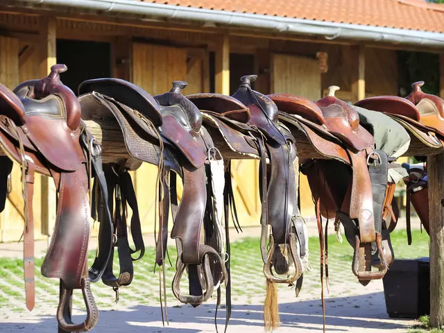 aufgereihte Westernsattel auf dem Reiterhof 