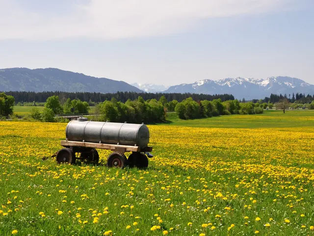 Grüne Frühlingswiese in den Voralpen mit Blumen und Bergen im Hintergrund als Motiv für Landurlaub in Bayern.