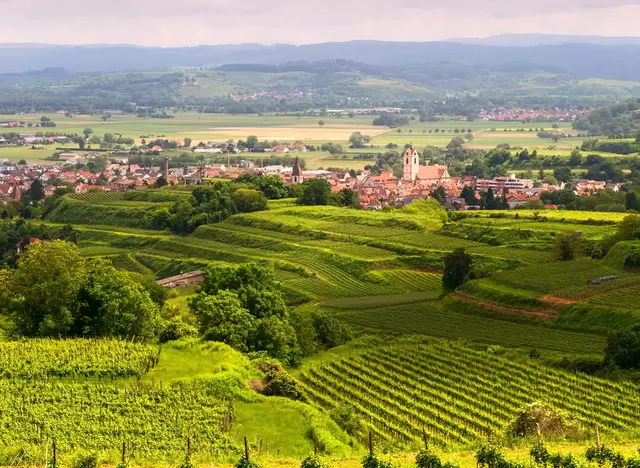 im Urlaub auf dem Winzerhof am Kaiserstuhl die Aussicht bei einer Wanderung genießen