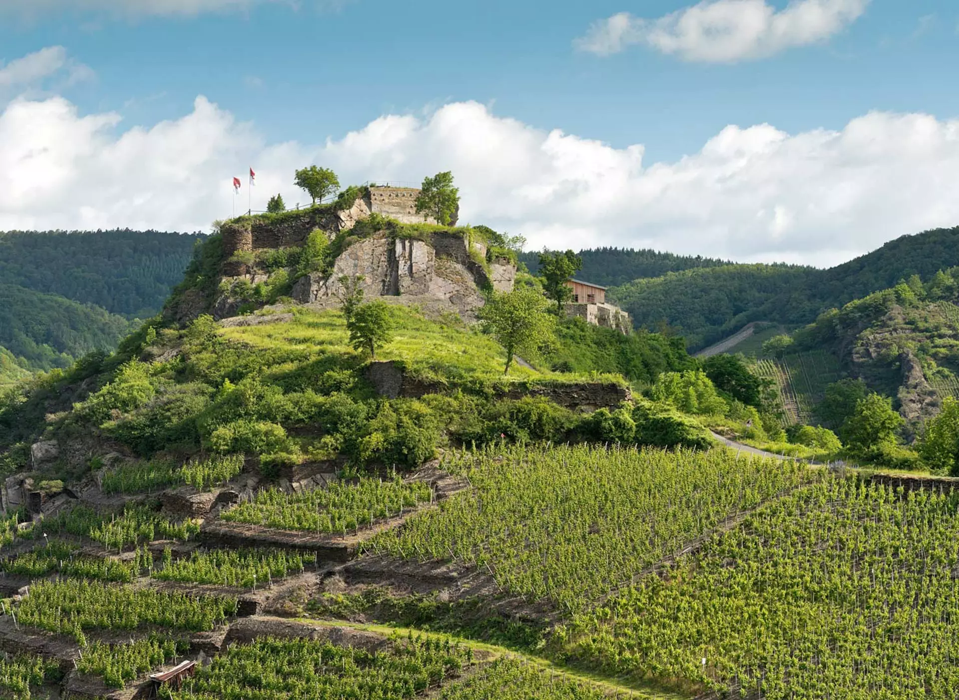 Saffenburg am Ahrsteig bei Mayschoß - © Rheinland-Pfalz Tourismus GmbH, Dominik Ketz im Urlaub auf dem Weingut an der Ahr auf dem Ahrsteig zur Saffenburg bei Mayschoß wandern