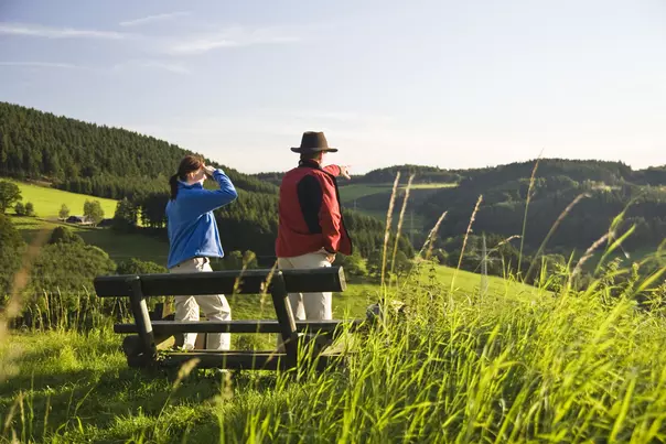 Blicke, die kilometerweit in die Ferne schweifen.Auf 254 abwechslungsreichen Kilometern bietet der Weg&nbsp; grandiose Aussichten und hautnahes Natur(er)leben aus der schönsten Perspektive - von ganz weit oben.