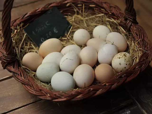 im Hofalden auf dem Bauernhof in Rheinland-Pfalz frische Eier kaufen