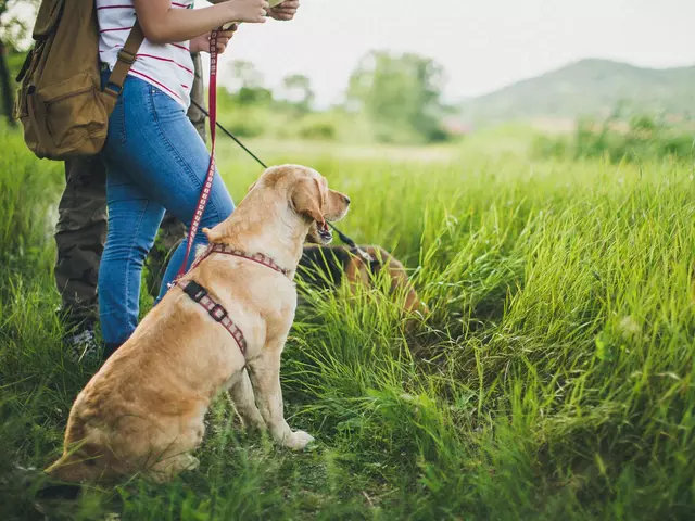 im Hundeurlaub in Thüringen wandern gehen