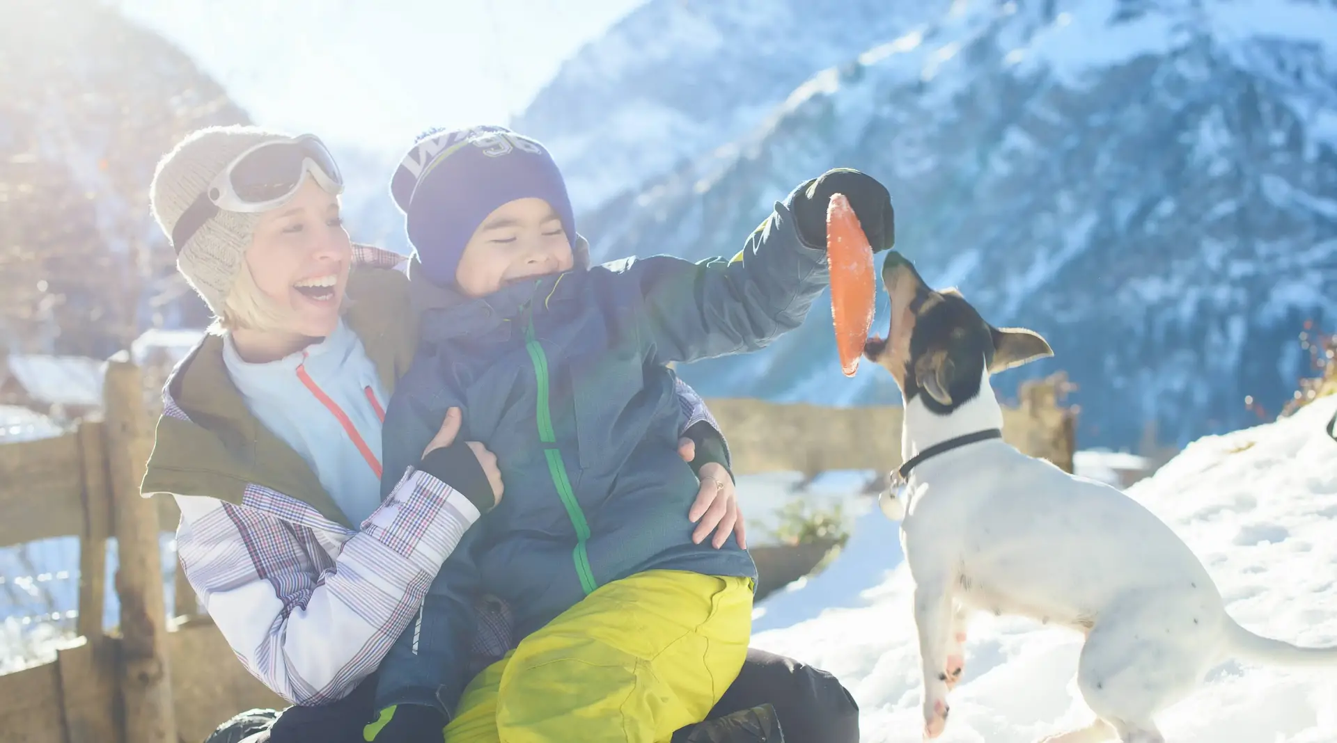 Fröhliche Familie beim Spielen mit einem Hund auf einer sonnigen Bergwiese in den österreichischen Alpen.