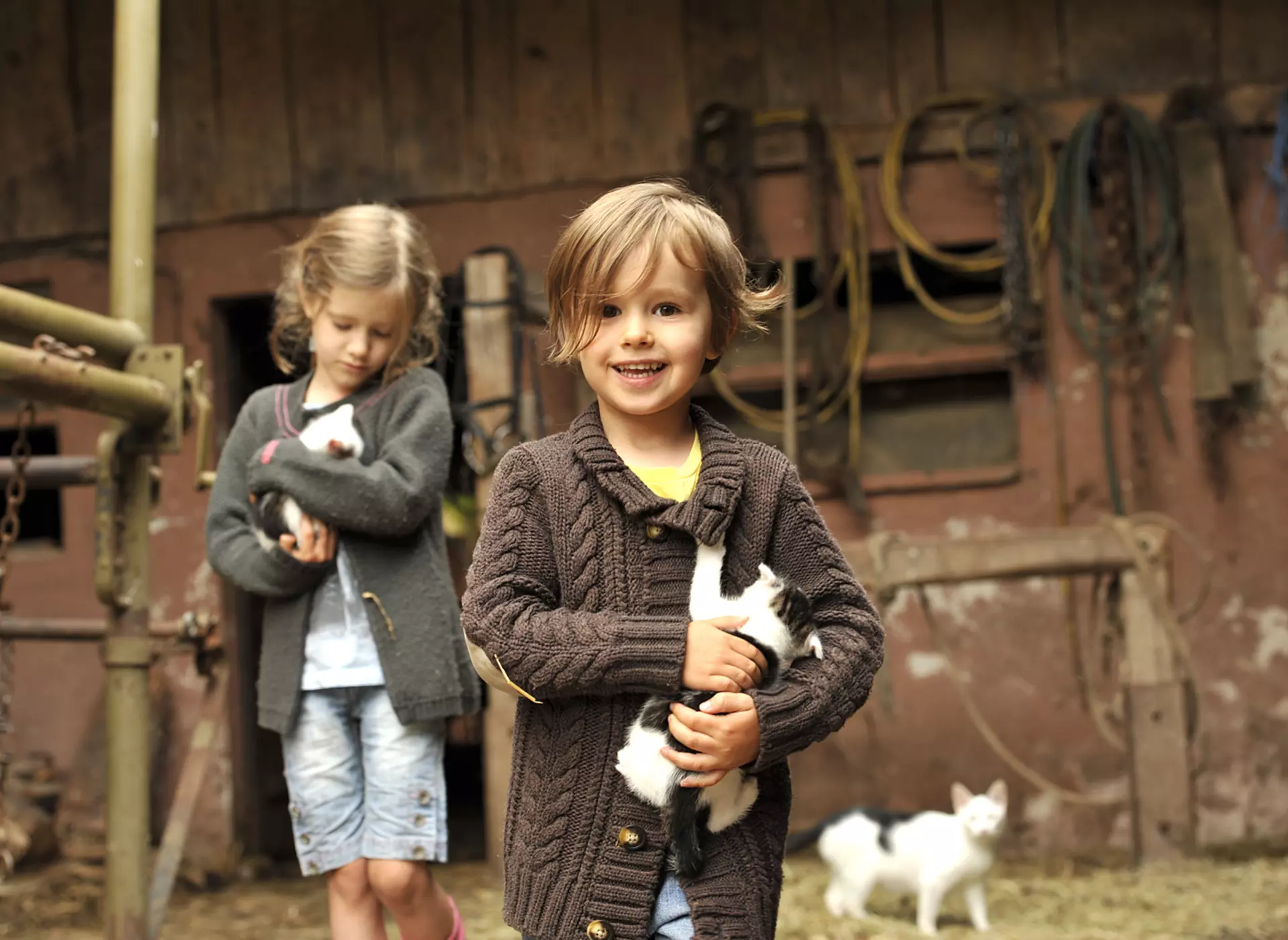 Mädchen mit Kätzchen - © Landsichten.de, Susanne Mölle Bei einem Urlaub auf dem Land können Kinder Tiere stricheln und füttern.