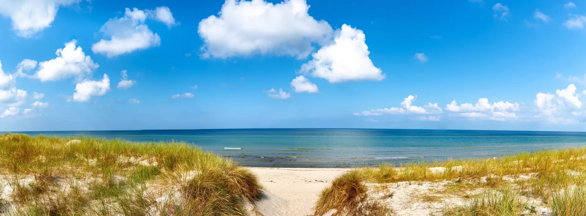 Blick zwischen Strandhafer auf den Strand und die Ostsee