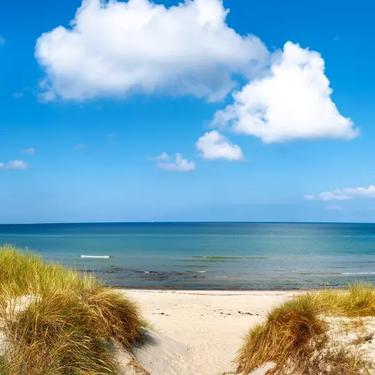 Blick zwischen Strandhafer auf den Strand und die Ostsee