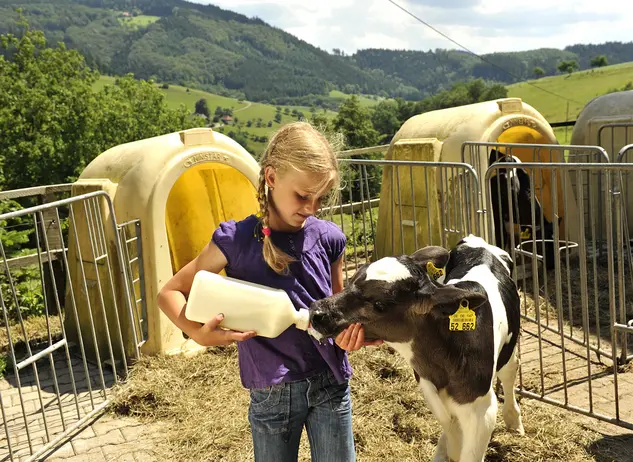 Bei einem Urlaub auf dem Bauernhof können Kinder Tiere entdecken, streicheln und füttern.
