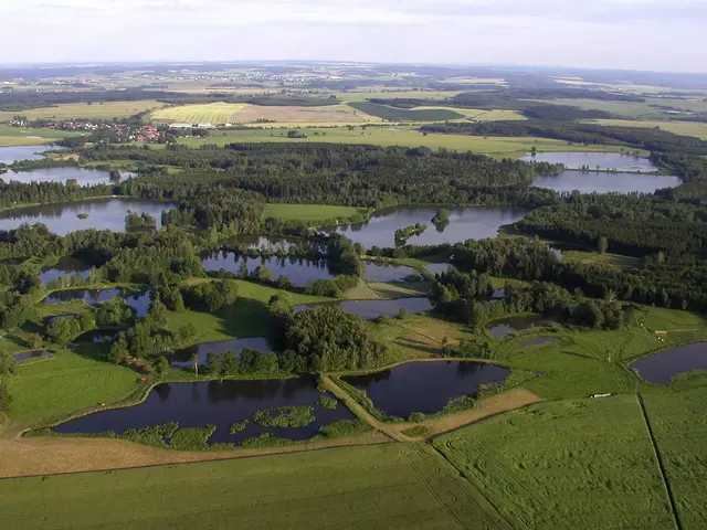 Die Plothener Teiche liegen im Naturschutzgebiet Dreba-Plothener Teichgebiet 