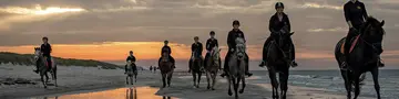 Ein abendlicher Ausritt entlang der Ostseeküste, das bietet ein Urlaub auf dem Reiterhof in Mecklenburg-Vorpommern.