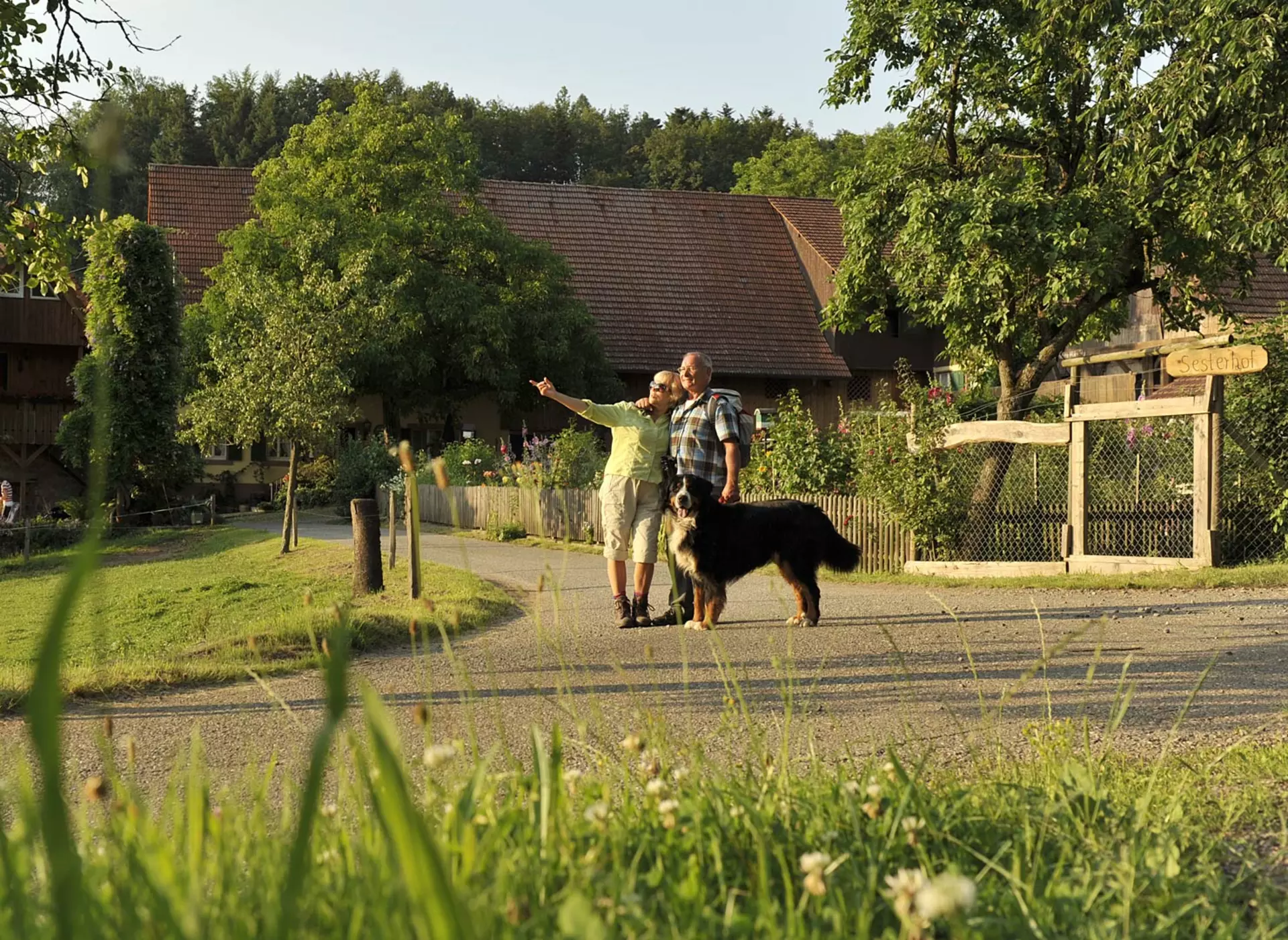 Wanderer entdecken im Wanderurlaub mit Hund die Umgebung