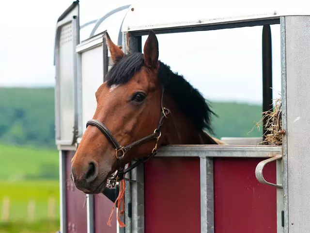 mit dem eigenen Pferd Urlaub auf dem Reiterhof in Thüringen machen