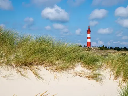 Blick zum Amrumer Leuchtturm aus den Dünen"