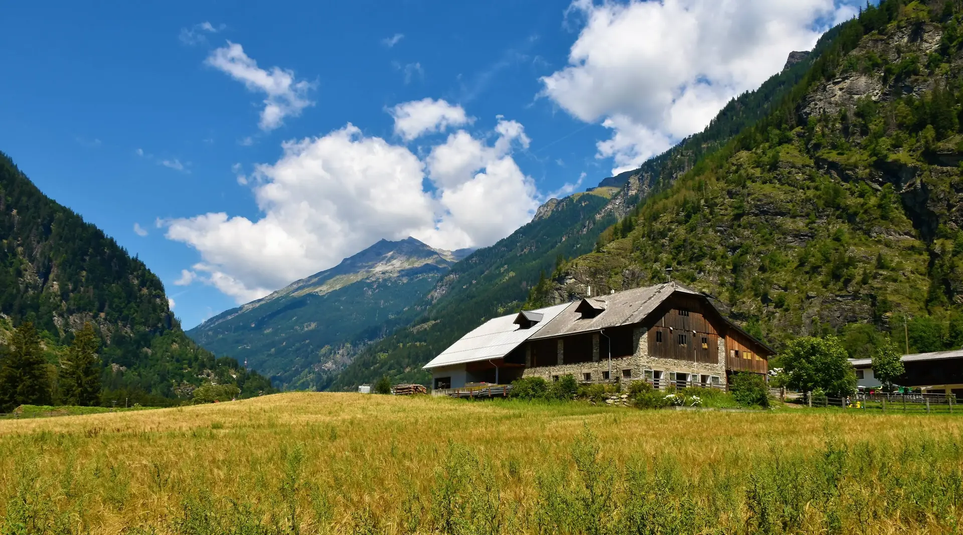 Alter Bauernhof im Maltatal – Urlaub auf dem Land in Kärnten - © kato08, AdobeStock Alter Bauernhof im Maltatal in Kärnten vor einer Bergkulisse und blühenden Wiesen – Urlaub auf dem Land in Österreich.