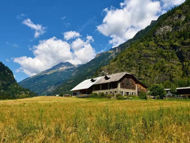 Alter Bauernhof im Maltatal – Urlaub auf dem Land in Kärnten - © kato08, AdobeStock Alter Bauernhof im Maltatal in Kärnten vor einer Bergkulisse und blühenden Wiesen – Urlaub auf dem Land in Österreich.