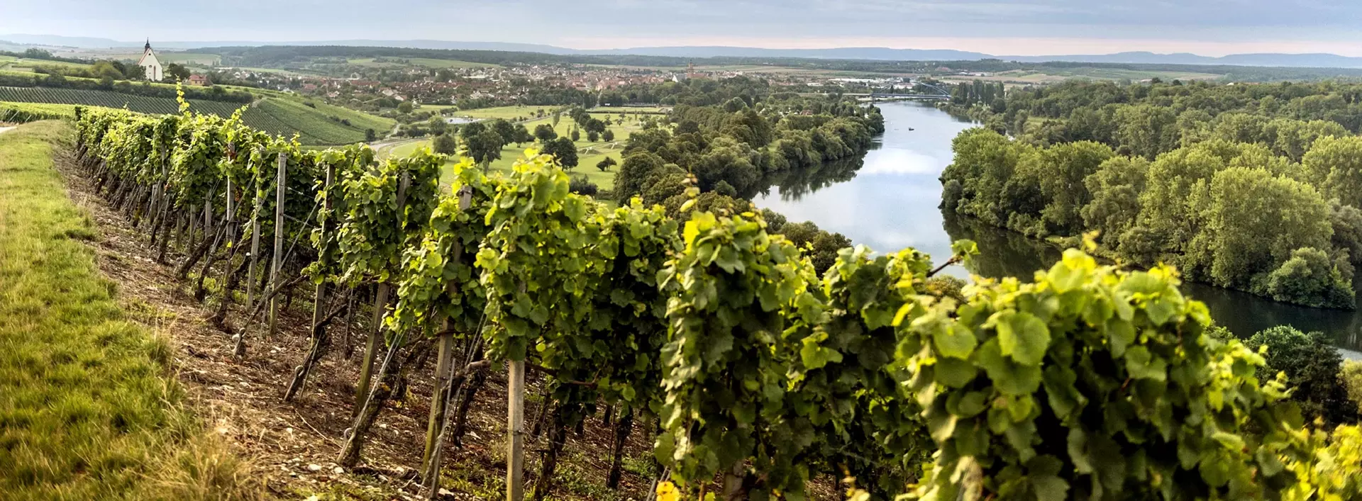 im Urlaub auf dem Weingut im Fränkischen Weinland eine Weinbergführung machen