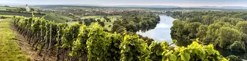 im Urlaub auf dem Weingut im Fränkischen Weinland eine Weinbergführung machen