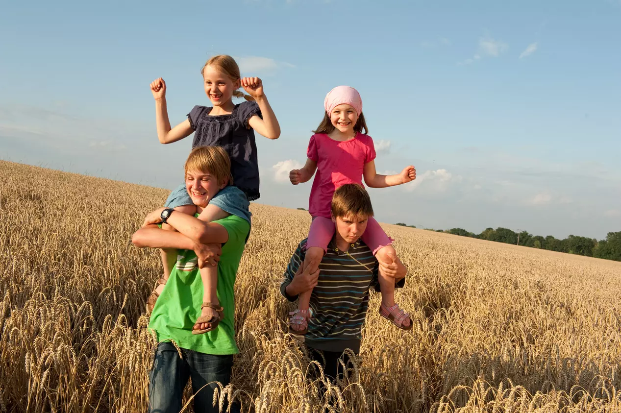 Kinder-im-Roggenfeld - © , Susanne Mölle
zwei ältere Kinder schultern zwei jüngere Kinder und gehen durch ein reifes Roggenfeld