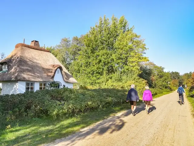 Menschen spazieren auf einem Weg auf der Insel Amrum vorbei an einem Reetdachhaus in natürlicher Umgebung