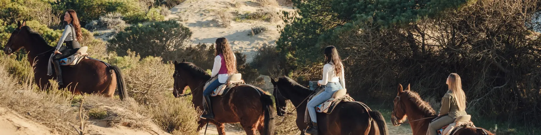 Vier junge Reiterinnen auf einem Fuchs und einem Braunen reiten über einen sandigen Hügel, umgeben von grünen Büschen und Nadelbäumen, mit Blick auf das blaue Meer an einem sonnigen Sommertag.