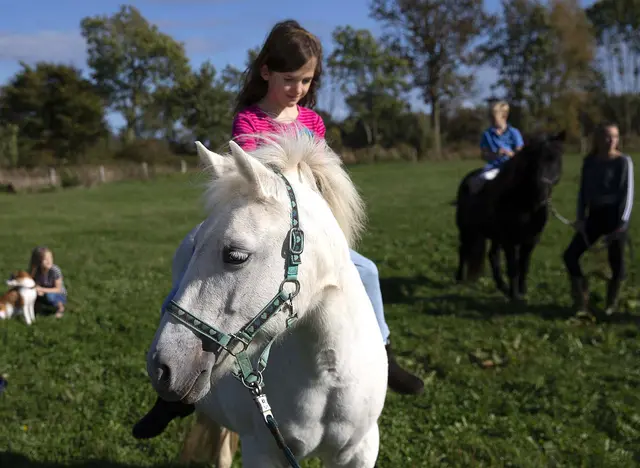 im Urlaub auf dem Reiterhof in Schleswig-Holstein mit dem Pony über die Wiese reiten