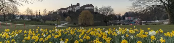 Blick auf das thronende Schloss Iburg in Niedersachsen von einer blühenden Frühjahrswiese aus